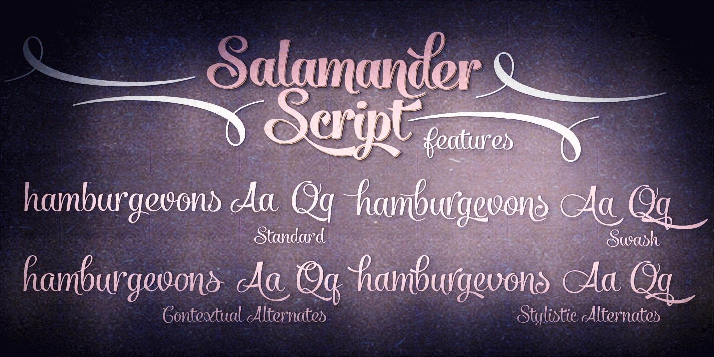 Ejemplo de fuente Salamander Script Bold